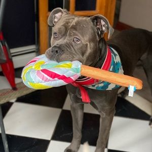 Meet your Posher, Marg